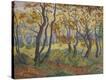 Stretched Canvas Print