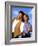 PAUL REISER; HELEN HUNT. "MAD ABOUT YOU" [1992].-null-Framed Photographic Print