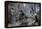 Paul Revere's Ride to Rouse Minutemen before the Battle of Lexington, April 19, 1775-null-Framed Premier Image Canvas