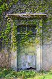 Vegetation and Ivy Growing over Empty Hall Near Leeds Yorkshire Uk-Paul Ridsdale-Premier Image Canvas