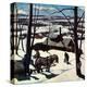 Stretched Canvas Print