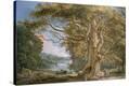 Stretched Canvas Print