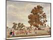 Giclee Print