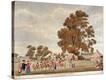 Stretched Canvas Print