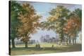 Stretched Canvas Print