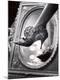 Premium Photographic Print