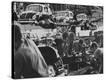 Stretched Canvas Print