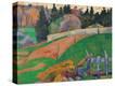 Stretched Canvas Print