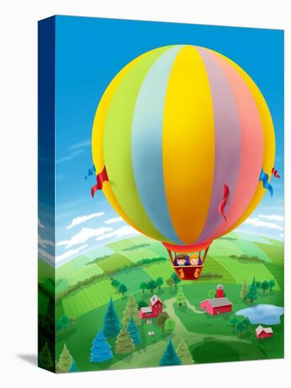 Stretched Canvas Print, , large