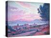 Stretched Canvas Print