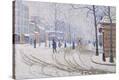 Stretched Canvas Print
