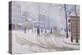 Stretched Canvas Print