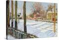 Stretched Canvas Print