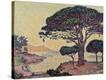 Stretched Canvas Print