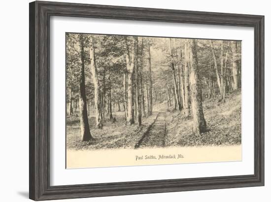 Paul Smith's Adirondack Mountains, New York-null-Framed Art Print