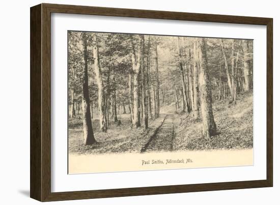 Paul Smith's Adirondack Mountains, New York-null-Framed Art Print