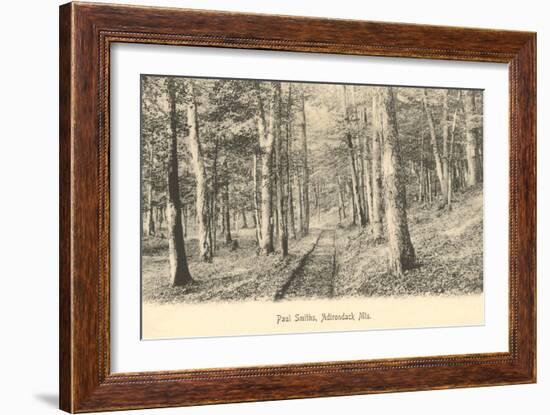 Paul Smith's Adirondack Mountains, New York-null-Framed Art Print