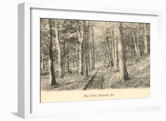 Paul Smith's Adirondack Mountains, New York-null-Framed Art Print