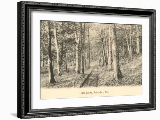 Paul Smith's Adirondack Mountains, New York-null-Framed Art Print