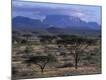 Premium Photographic Print