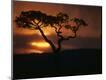 Photographic Print