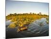 Photographic Print