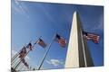 Premium Photographic Print