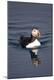 Premium Photographic Print