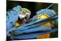Premium Photographic Print