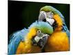 Photographic Print