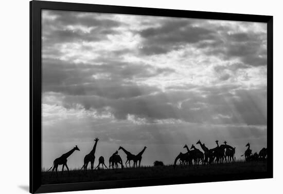 Photographic Print, , large