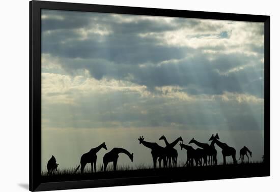 Photographic Print, , large