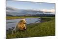 Photographic Print