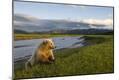 Photographic Print