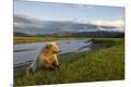 Photographic Print