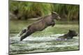 Photographic Print