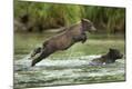 Photographic Print
