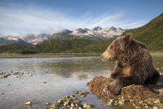 Brown Bear, Katmai National Park, Alaska-Paul Souders-Photographic Print