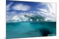 Photographic Print