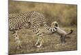 Photographic Print
