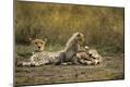 Photographic Print