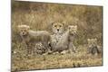 Photographic Print