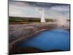 Photographic Print