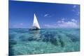 Premium Photographic Print