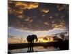 Photographic Print