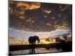 Photographic Print