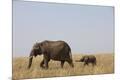 Premium Photographic Print