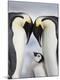 Premium Photographic Print