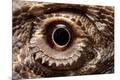 Premium Photographic Print