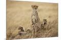 Premium Photographic Print